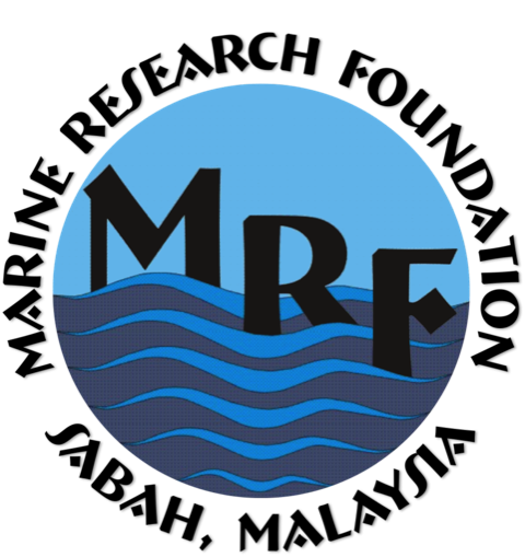 MRF